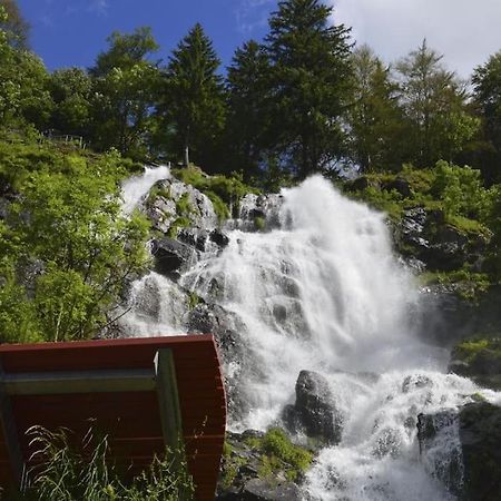 Waldlicht Titisee מראה חיצוני תמונה