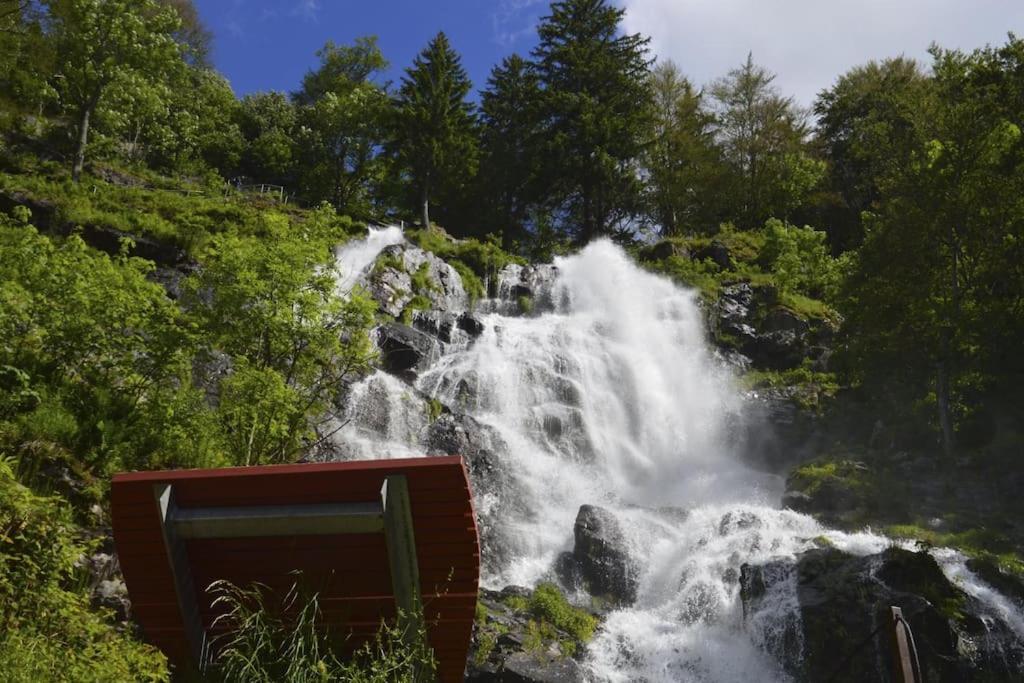 Waldlicht Titisee מראה חיצוני תמונה