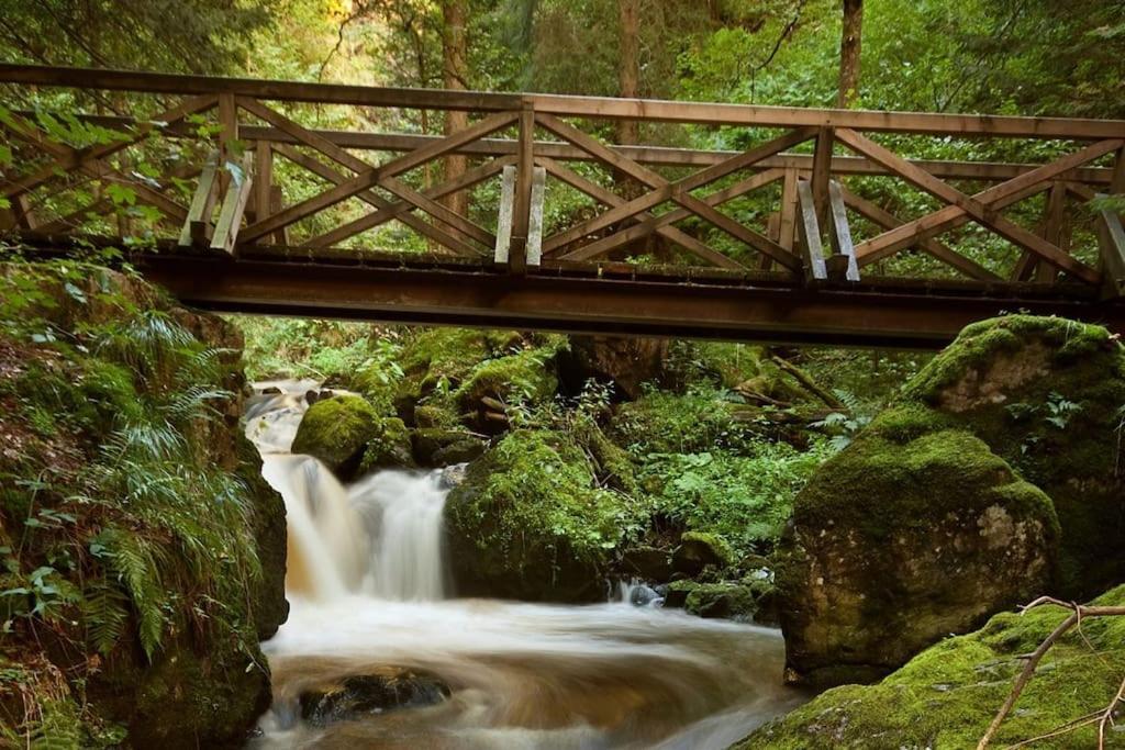 Waldlicht Titisee מראה חיצוני תמונה