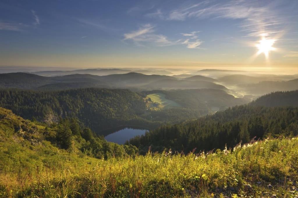 Waldlicht Titisee מראה חיצוני תמונה