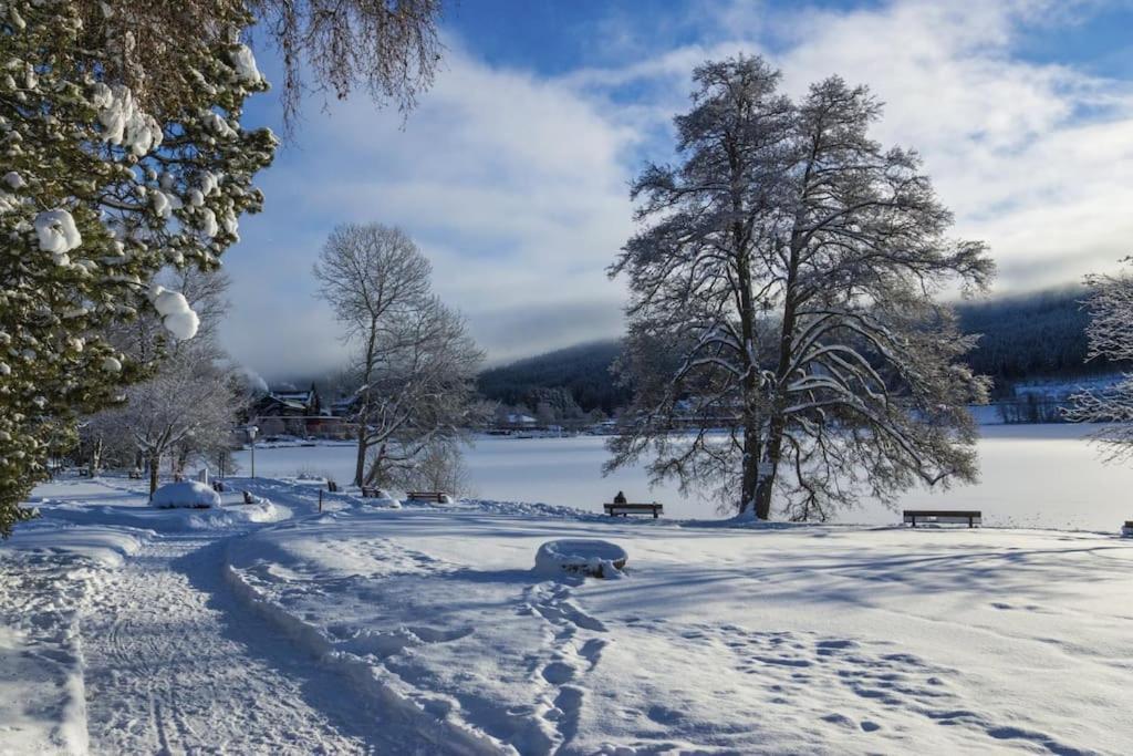 Waldlicht Titisee מראה חיצוני תמונה