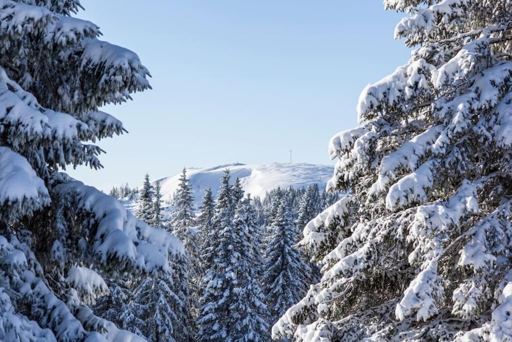 Waldlicht Titisee מראה חיצוני תמונה
