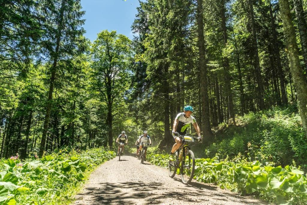Waldlicht Titisee מראה חיצוני תמונה
