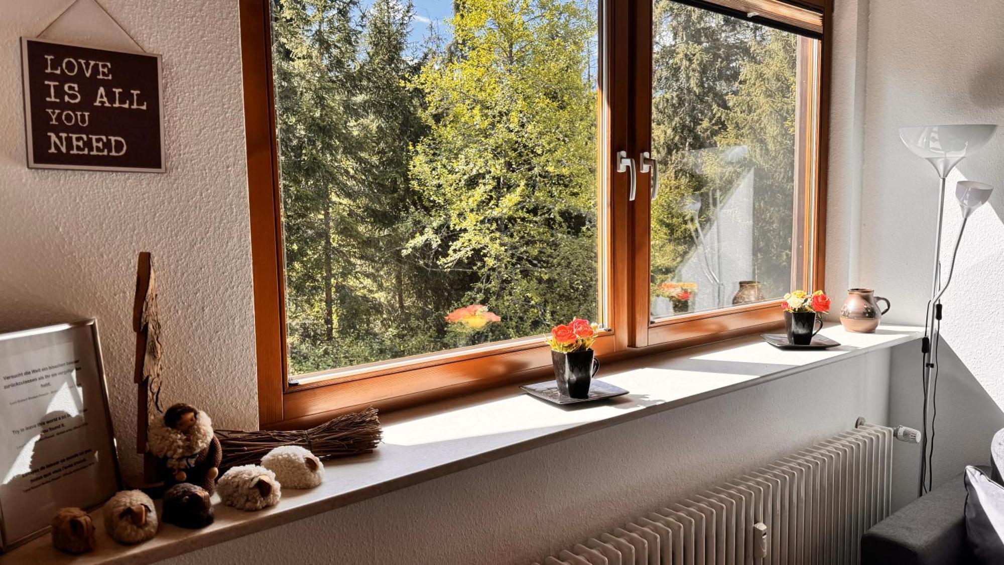 Waldlicht Titisee מראה חיצוני תמונה